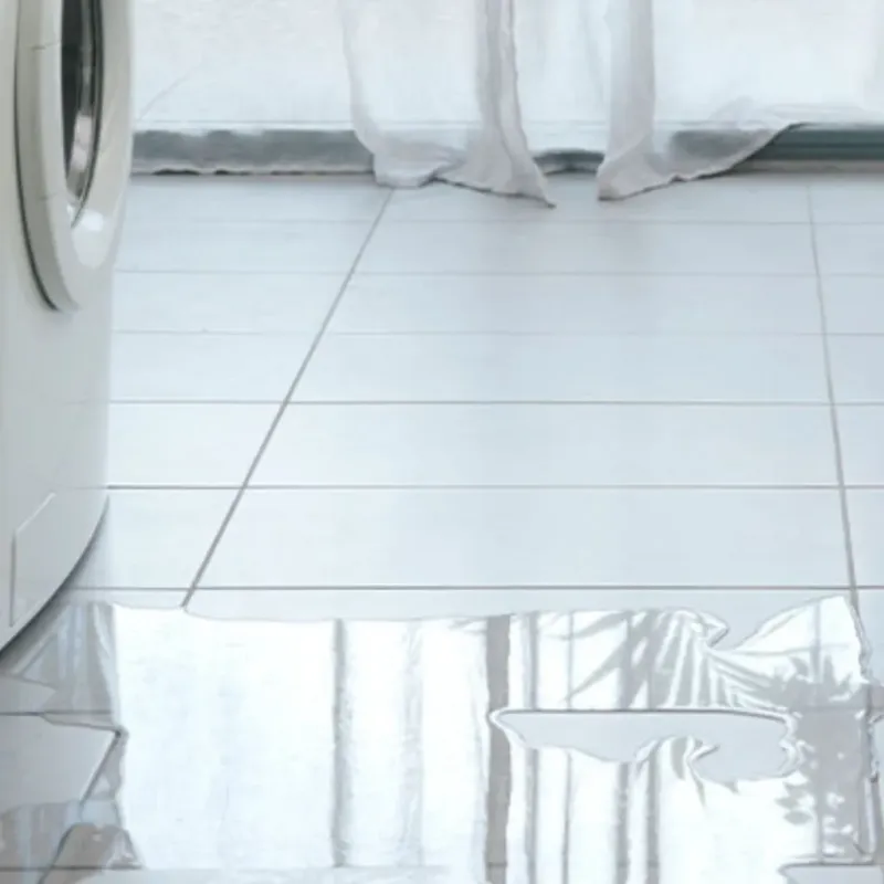 Appliance Leak Cleanup in Howell, MI