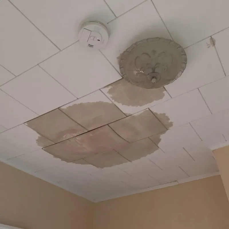 Ceiling Water Damage Repair in Howell, MI