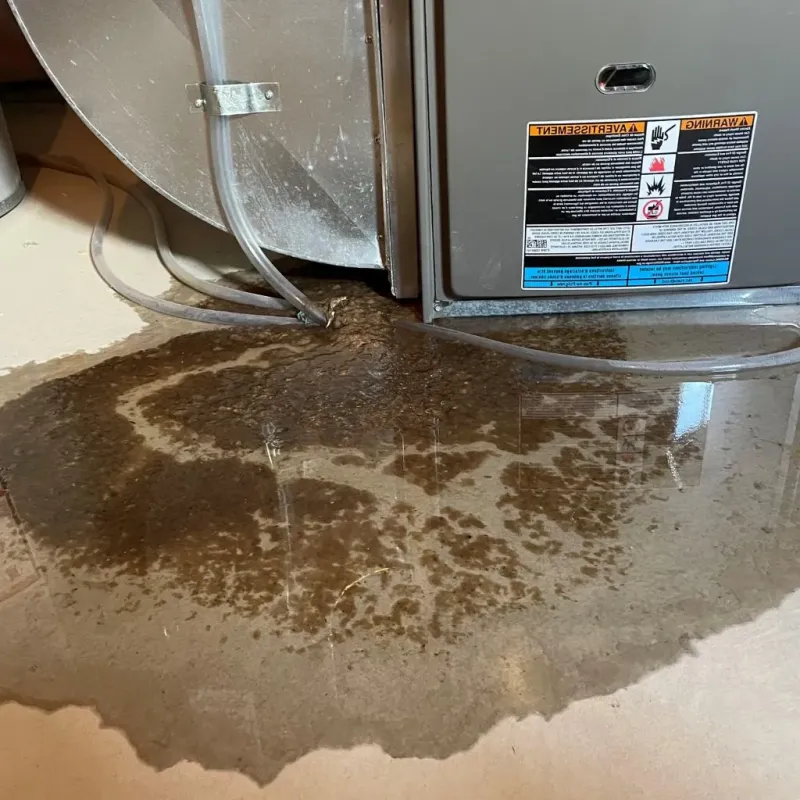 Pipe Burst and Leak Restoration in Howell, MI