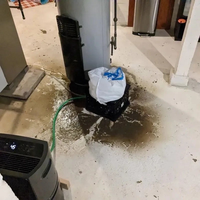 Sewage Backup Cleanup Service in Howell, MI